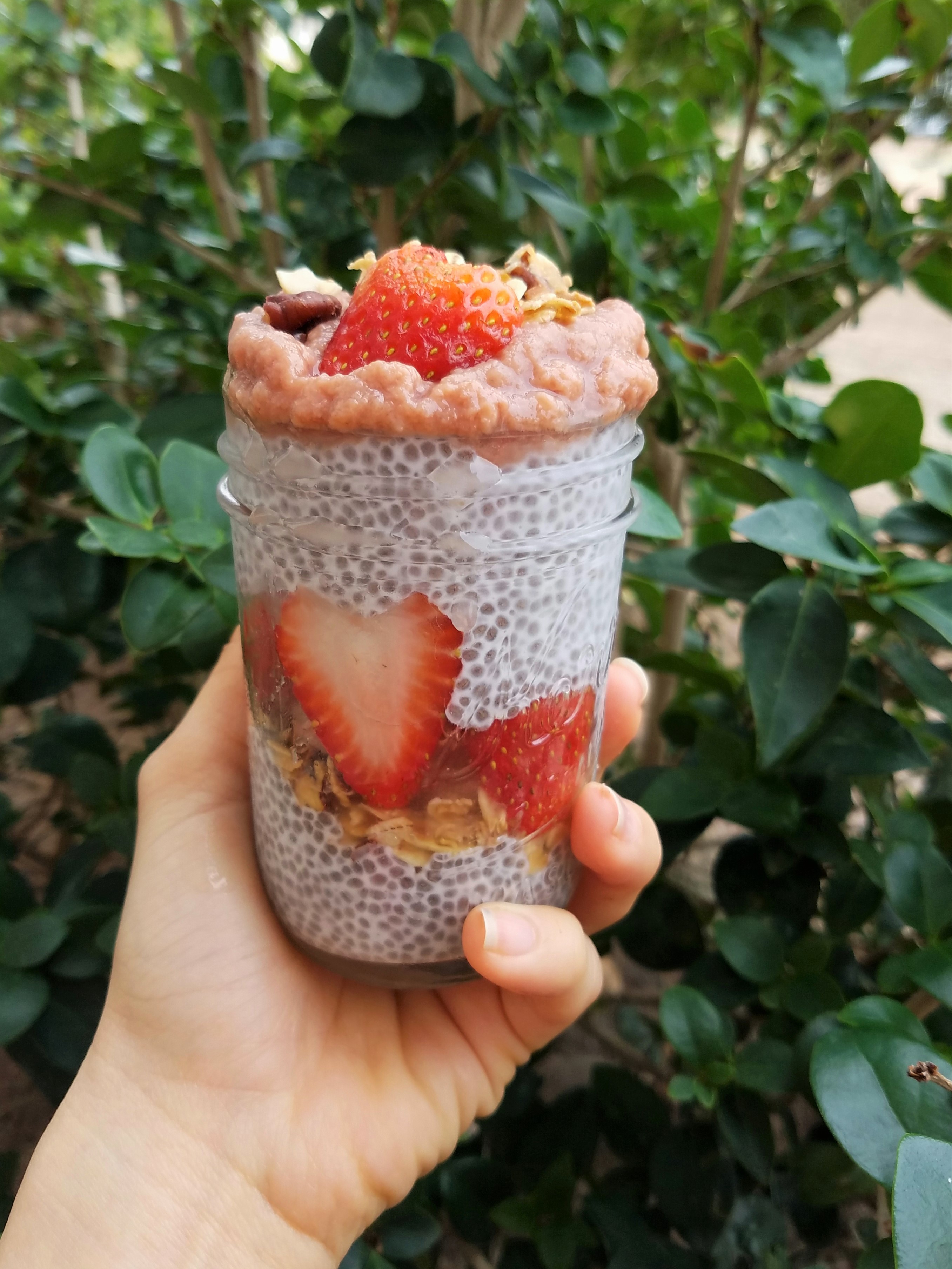 STRAWNANA Live Nomva Smoothie Pack Chia Pudding Parfait