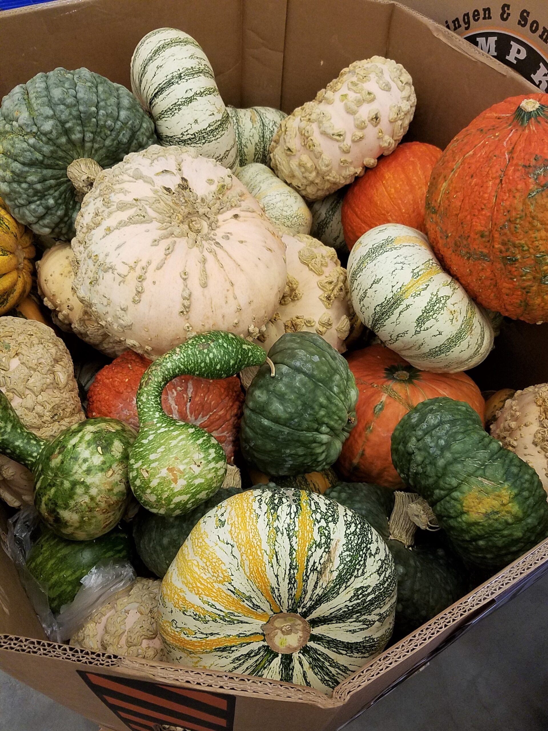 Delicious Seasonal produce