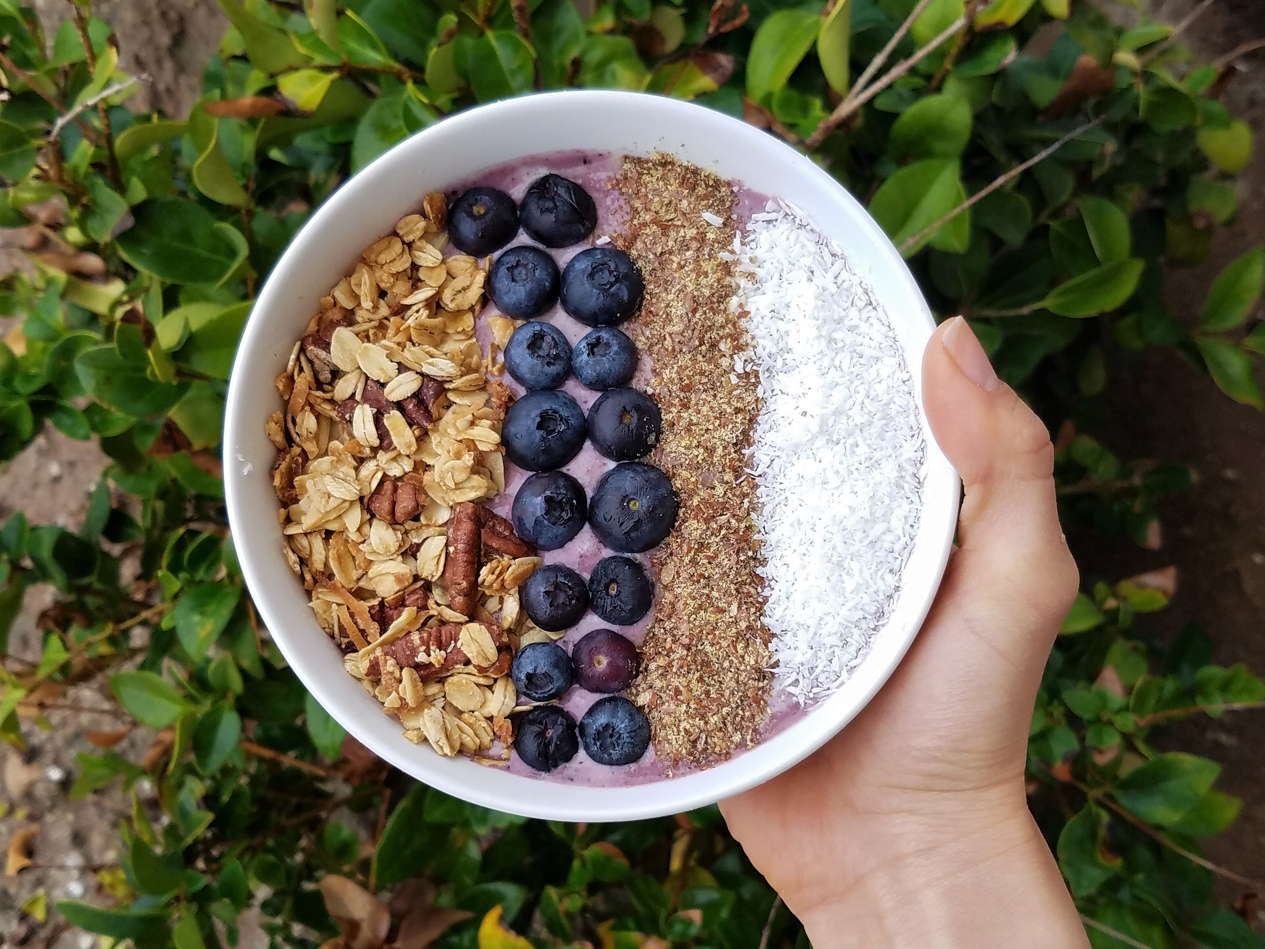 Blueberry Coconut Smoothie Bowl