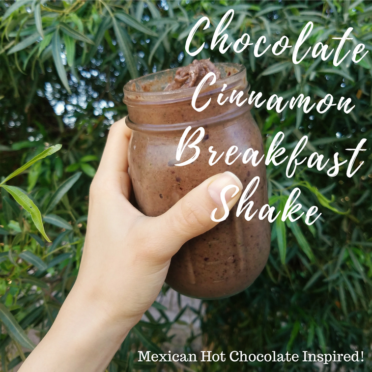 chocolate cinnamon breakfast shake