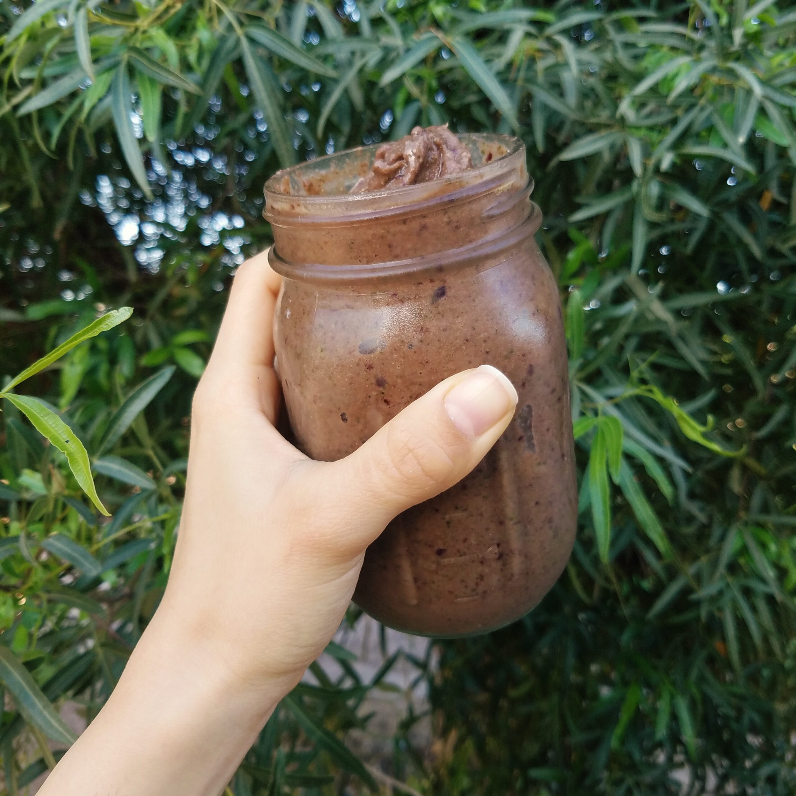 chocolate cinnamon breakfast shake