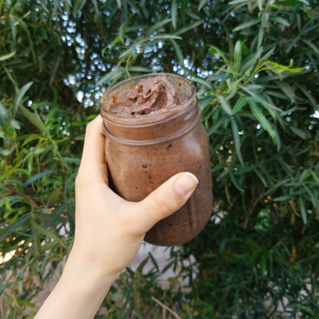 chocolate cinnamon breakfast shake