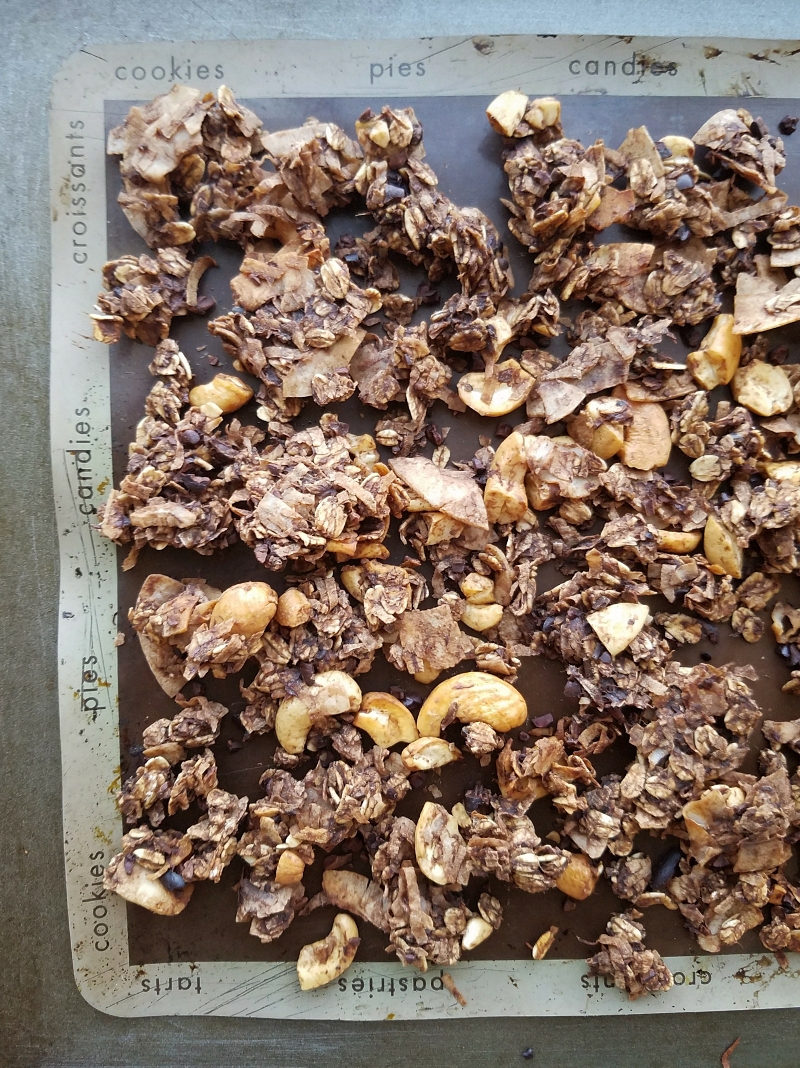 Cocoa Coconut Rustic Banana Granola