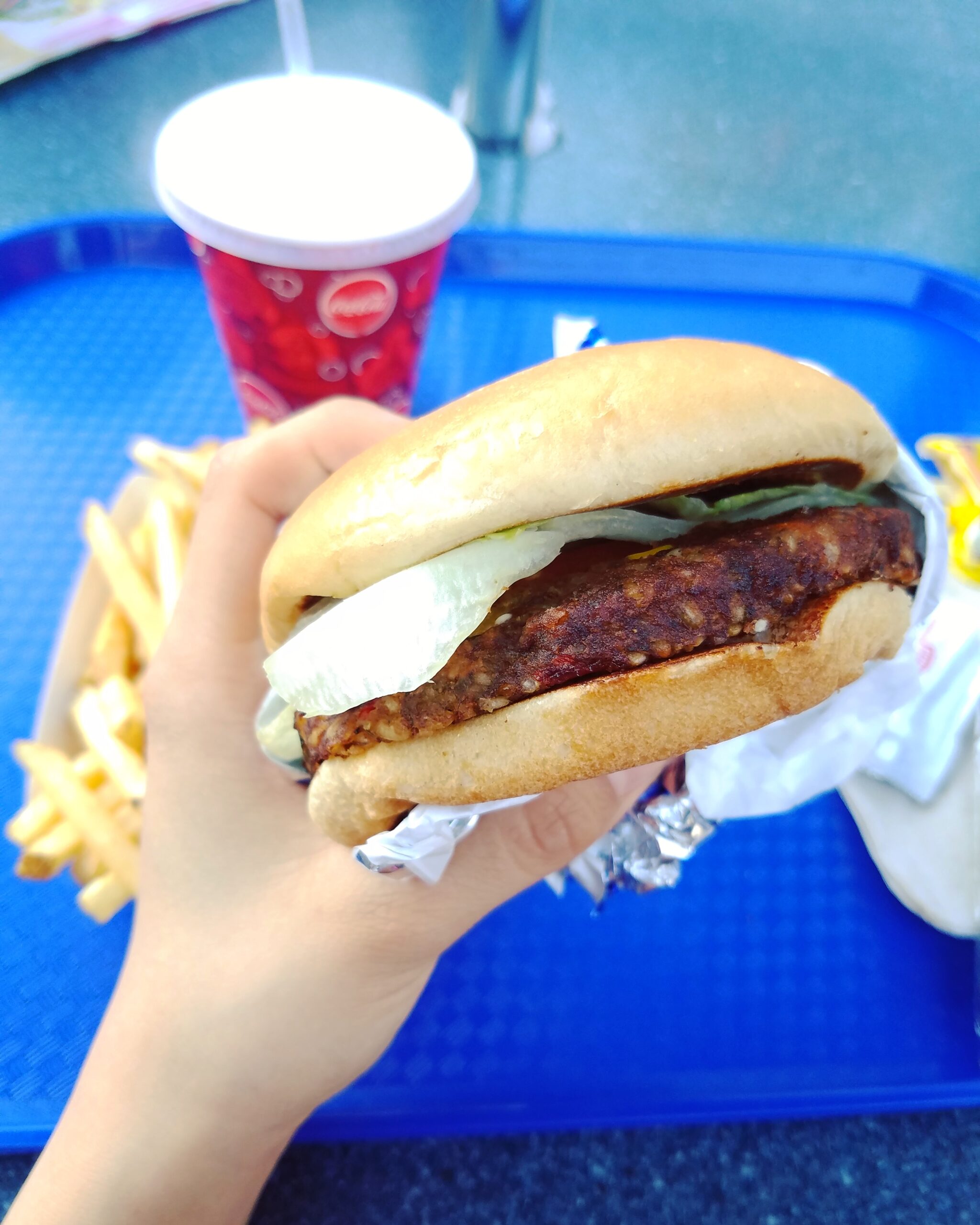 What I Ate at Disneyland—100% Vegan, Plant-Based Options