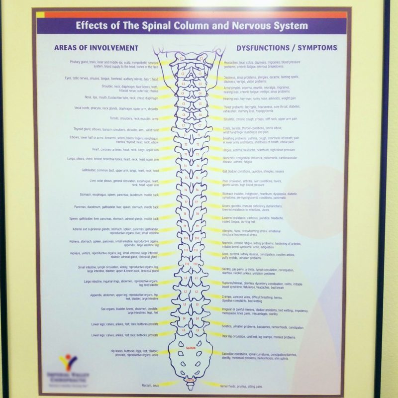 6 months of chiropractic treatment melmakesithappen